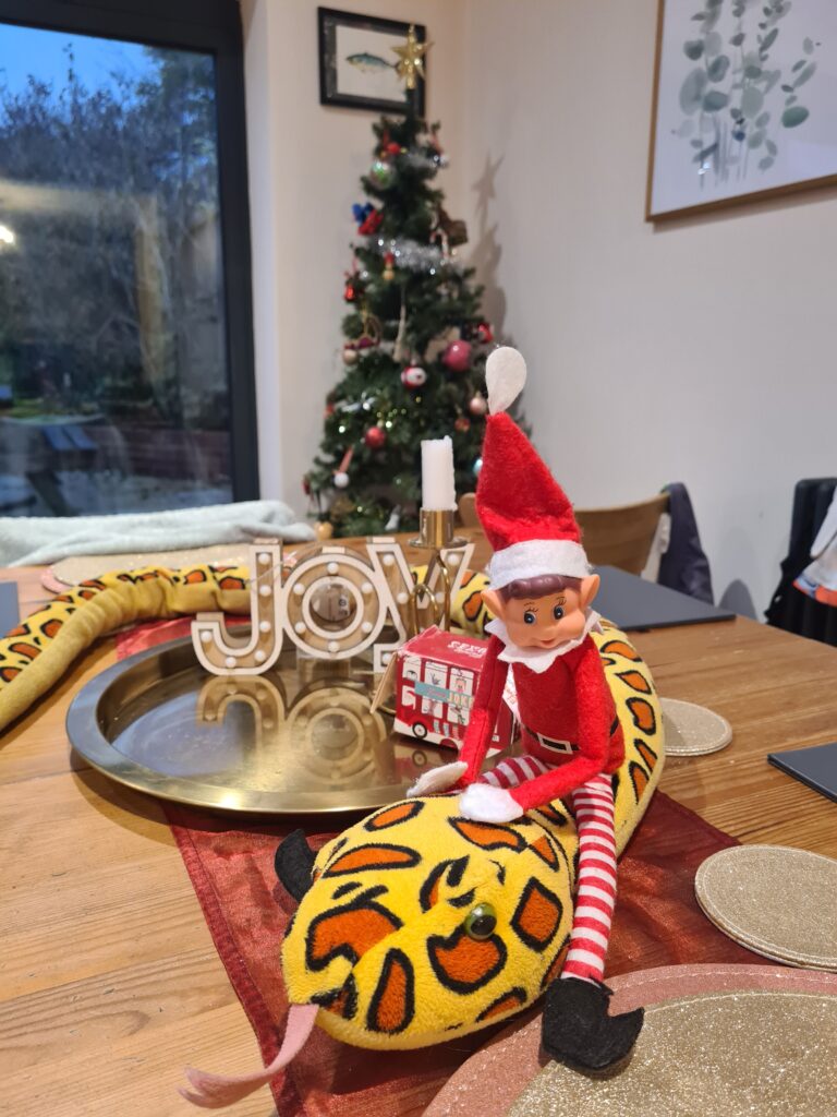 elf on the shelf quick ideas