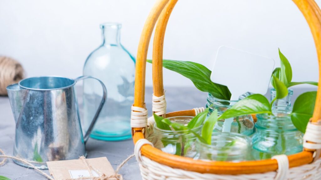 Environmentally friendly Easter basket free or cheap ideas