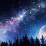 full moon with starry sky and pine forest in silhouette