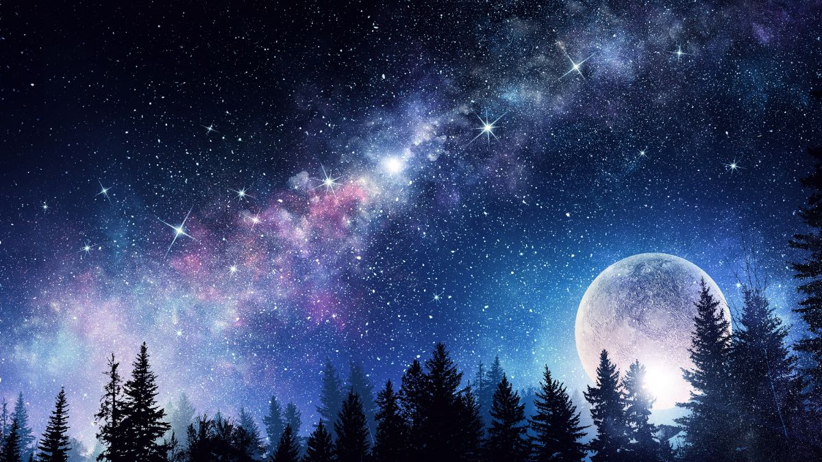 full moon with starry sky and pine forest in silhouette